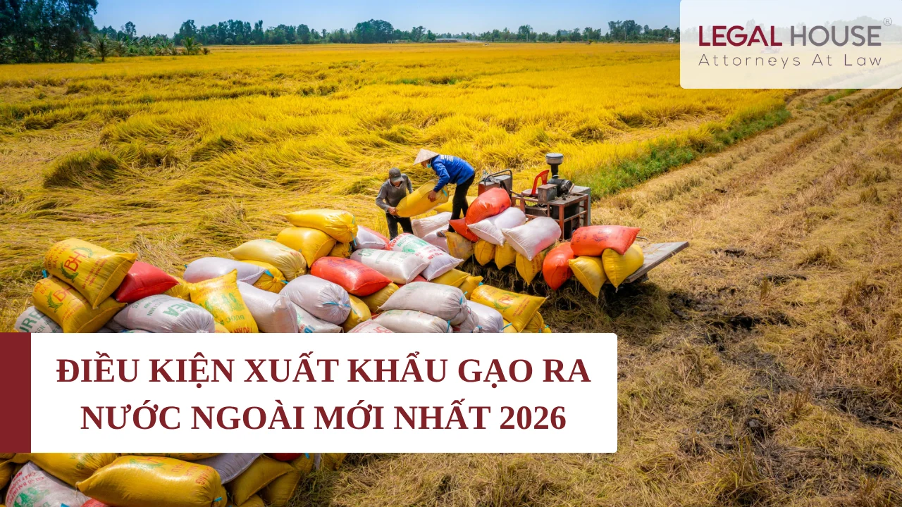 XUATKHAUGAO2026